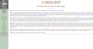 Cybertruffle Website